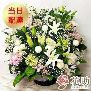 yEn͂z V    ԏIԉ̋ԃAWg 15000~  {    ފ   z  Ή D 