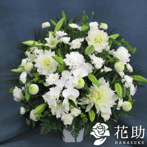 yEn͂zz D܂̓J[ht 摜 t[RVFWIԉ̌Ӓ肨AWg15000~ D V ʖ @ @v 