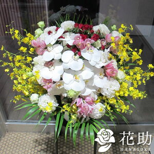 yEn͂zz Dt 摜 t[RVFWIԉ̌Ӓ肨AWg30000~ Ή D V ʖ @ @v  