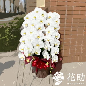 yEn͂zJXj ACj Ij Sn ԏIԉ̌Ӓ 3{ 45ֈȏ [ L ] 40000~ I JƏj J@j j  a ړ]j  