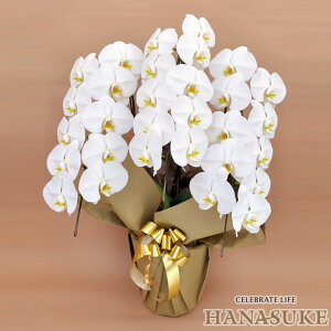 YnIyziz@j@Ӓ3{30ֈȏ 20000~ @M ܁yzyyMt_bŹzyrWlXzyΉzbsOADtA摜MAzw