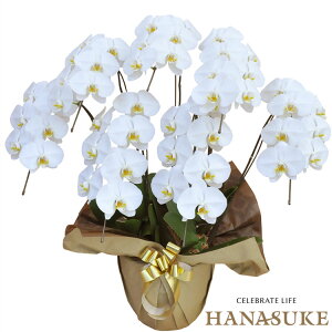 YnIyziz@j@Ӓ7{49ֈȏ 47000~ @M ܁yzyyMt_bŹzyrWlXzyΉzbsOADtA摜MAzw