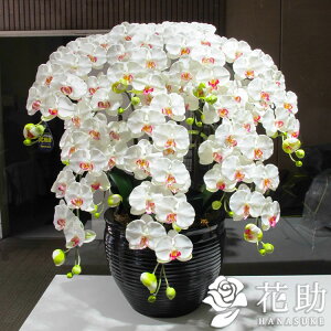 【空気を清浄する光触媒】配送無料 名札またはカード付き 画像報告 光触媒 造花 胡蝶蘭 (大)7本立ち 花鉢 住宅展示場・モデルハウス・ショールーム ・ロビー に 枯れない造花