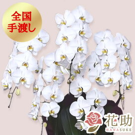 楽天市場 用途で選ぶ 新社屋落成祝い 花助 フラワースタンド花専門店