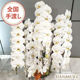 楽天市場 用途で選ぶ 新社屋落成祝い 花助 フラワースタンド花専門店