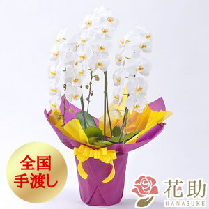 yEn͂zj ԏIԉ̌Ӓ3{ 25ֈȏ [ S ] 20000~ JXj ACj zB JƏj J@j j  a ړ]j  ACj 