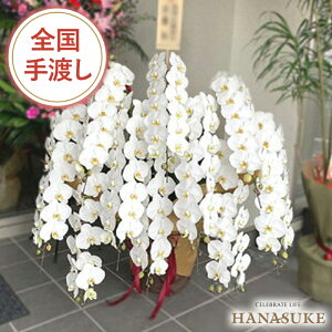 �r�W�l�X�V�[���őI�΂ꑱ����A�i�������Ӓ����@10�{����[��] 150000�~ �����w��\ �J�X�j�� �ړ]�j�� �S���z�B