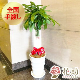 楽天市場 用途で選ぶ 新社屋落成祝い 花助 フラワースタンド花専門店