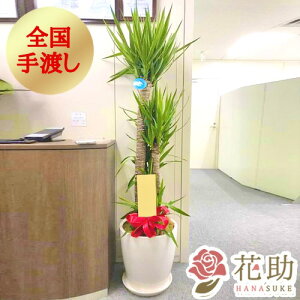 yEn͂zϗtA ^ JXj ԏIԉ̂ȔJo[t܂ϗtA@30000~ ^(180cmOてڈ) bsO w\ ړ]j