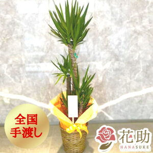 yEn͂zϗtA ^ JXj ԏIԉ̂ȔJo[t܂ϗtA@20000~ (180cmOてڈ) bsO w\ ړ]j 