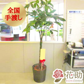 【送料無料・手渡しお届け】観葉植物 大型 パキラ 開店祝い 花助が厳選した花屋のおしゃれな鉢カバー付き観葉植物[パキラ] 25000円 (高さ180cm※目安) お祝い 移転祝い 引越し祝い リニューアル 配送無料 名札またはカード付き 画像報告 無料ラッピング 日時指定可能