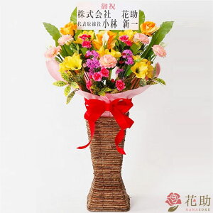 yԁzz D܂̓J[ht 摜 ԃt[X^h22000~(X^_[h) ZWEfnEXEV[[ Er[  ͂ȂԃX^h /sN/