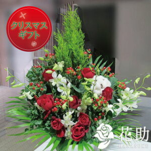 yEn͂zyԌzz D܂̓J[ht 摜 Iԉ̃NX}XJ[AWgԁ@20000~ D JXj a j \ S