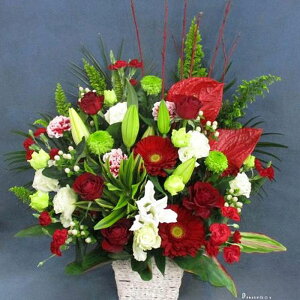 yEn͂zyԌzz D܂̓J[ht 摜 Iԉ̃NX}XJ[ AWgԁ@15000~ D JXj a j \ S