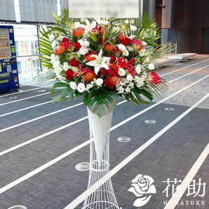 yEn͂zyԌzz Dt 摜 NX}XJ[X^h1i 20000~ bsO w\ JXj ړ]j SzB zB