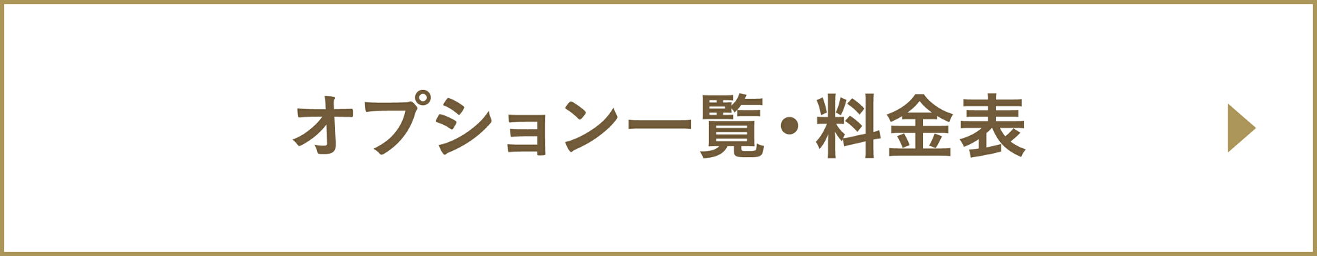 オプション一覧・価格表