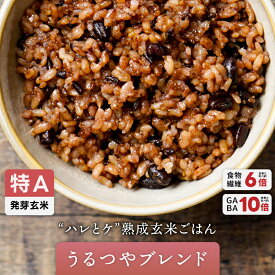 ハレとケ熟成玄米ごはん うるつやブレンド（10食/20食）酵素玄米 玄米パック 発酵玄米 送料無料 3日間熟成 ごはんパック 125g 特Aひとめぼれ玄米 発芽玄米 無添加 たんぱく質 食物繊維 玄米ごはんパック ご飯パック パックご飯 雑穀 寝かせ ふっくら もちもち 玄米ごはん
