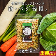 【半額SALE】乾燥野菜 国産 100g ベジたすケ キャベツ にんじん 小松菜 大根 4種ブレンド時短 お湯で3分 …