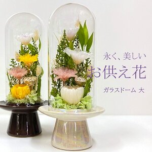 プリザーブドフラワー ガラスドームの人気商品 通販 価格比較 価格 Com プリザーブドフラワー ガラスドームの人気商品 通販 価格比較 価格 Com