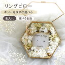 【リングピローキット】リングピロー 手作りキット 結婚式 結婚祝い 結婚 ハンドメイド ウェルカムスペース ウェディ…