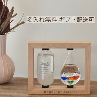 ガリレオ温度計 ストームグラス 雲 クラウド 名入れ 誕生日 記念日 還暦祝い 発表会 結婚祝い 出産祝い …