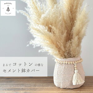 Jo[15cm×16cm Aؔ Zgf 蕨 LOi Mtg v[g  CeA