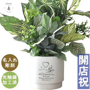 tFCNO[  A  ϗtA @lMtg hZi tBfh AC`AJ LO a Vzj  G} Mtg 蕨 I[_[ O [U[  v