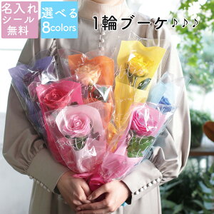 \[vt[ V[mxeB[  Ǝ w LOi LO  W NnA ʉ Ж 1փu[P v[g A} Ό̍  \[v͂Ȃ 