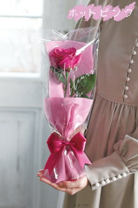 \[vt[ V[mxeB[  Ǝ w LOi LO  W NnA ʉ Ж 1փu[P v[g A} Ό̍  \[v͂Ȃ 