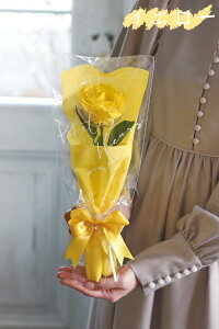 \[vt[ V[mxeB[  Ǝ w LOi LO  W NnA ʉ Ж 1փu[P v[g A} Ό̍  \[v͂Ȃ 