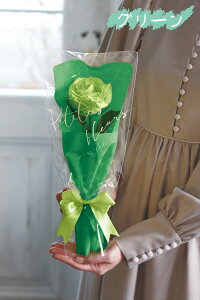 \[vt[ V[mxeB[  Ǝ w LOi LO  W NnA ʉ Ж 1փu[P v[g A} Ό̍  \[v͂Ȃ 