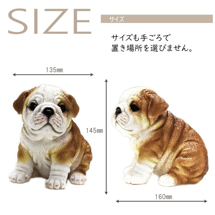 犬の置物 フレンチブルドッグ Type1 うちの子わんこ フレンチブルドッグの置物 置物 可愛いわんこのオブジェ 犬の置物 フレンチブルドッグ Type1 うちの子わんこ フレンチブルドッグの置物 置物 可愛いわんこのオブジェ