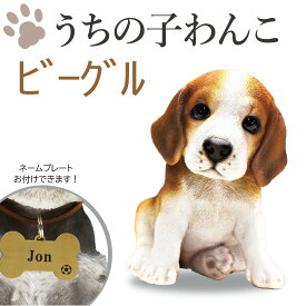 P10倍 ビーグル うちの子わんこ！ 可愛いわんこのオブジェ 犬の置物 置物 ビーグルの置物 犬 お供え 愛犬 動物 レジン製 アニマル 犬の供養　犬のお墓 供養 記念 インテリア