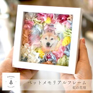 ☆レビュー特典☆【虹の花畑】ペット 遺影 位牌 写真立て 犬 猫 ペット供養 写真 フォトフレーム 名入れ …