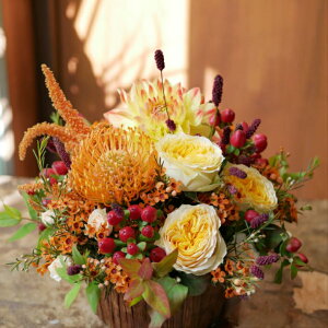 ピンクッション 花 Diy 工具の人気商品 通販 価格比較 価格 Com