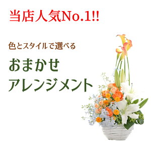 a  av[g   AWg ܂ AW t[ Mtg ʉ LO   a   D bZ[WJ[h yԏu