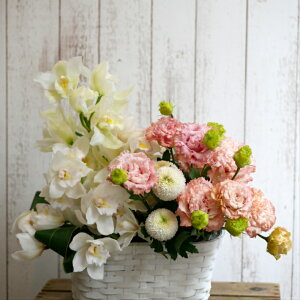 生花 キキョウ トルコの人気商品 通販 価格比較 価格 Com