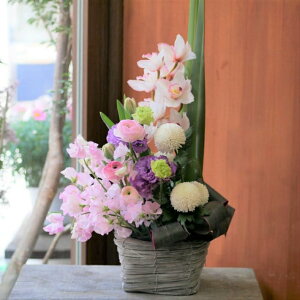 t[ AWg  킢 v[g   ~  VrWE e gRLLE AVg[  yԏuhz