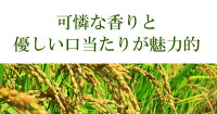 可憐な香り