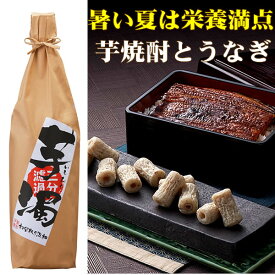 楽天市場 酒 つまみ ランキングの通販