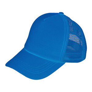 ARTEC �J���[�_���X�L���b�v �u���[ ATC4954