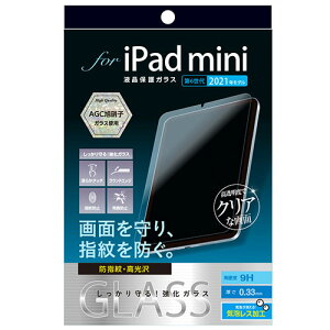 �i�J�o���V iPad mini 2021�p�K���X �h�w��E������ TBF-IPM21GS