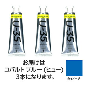 �y3�{×5�Z�b�g�z �^�[�i�[�F�� U35 �R�o���g�u���[(�q���[)60ml TURNER108749X5