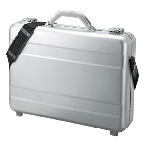 �T�����T�v���C PC�A���~�P�[�X 15.6�C���`���C�h �V���o�[ BAG-AL4N2