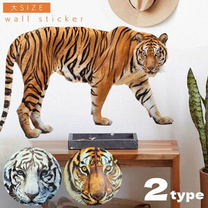 EH[XebJ[ gorzCg^CK[   k Aj} 