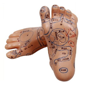 2Zbg  ͌^ ڃ}bT[W ̌nIɊo c{