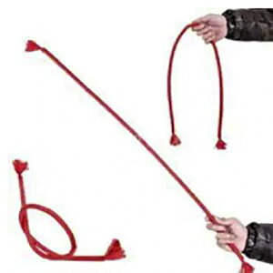 }WbN [v iObY _炩[vdȂ CfBA