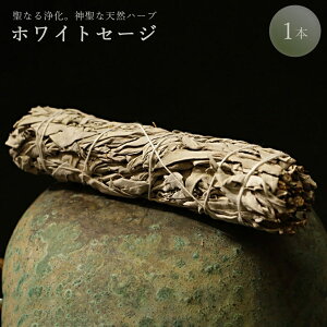 VRn[u zCgZ[W 1{ Ȃn[u VR N tOX [