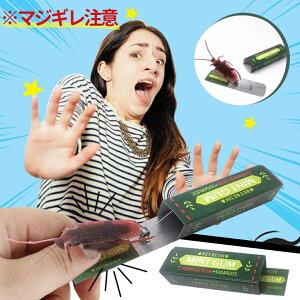 ߋ SLu G K т蔠 яo  p[eB[ObY RbN