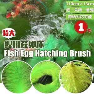  {B Y Yp  ɐBuV 1 ь B ̊ώ@ 